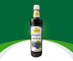 SYRUP VIỆT QUẤT